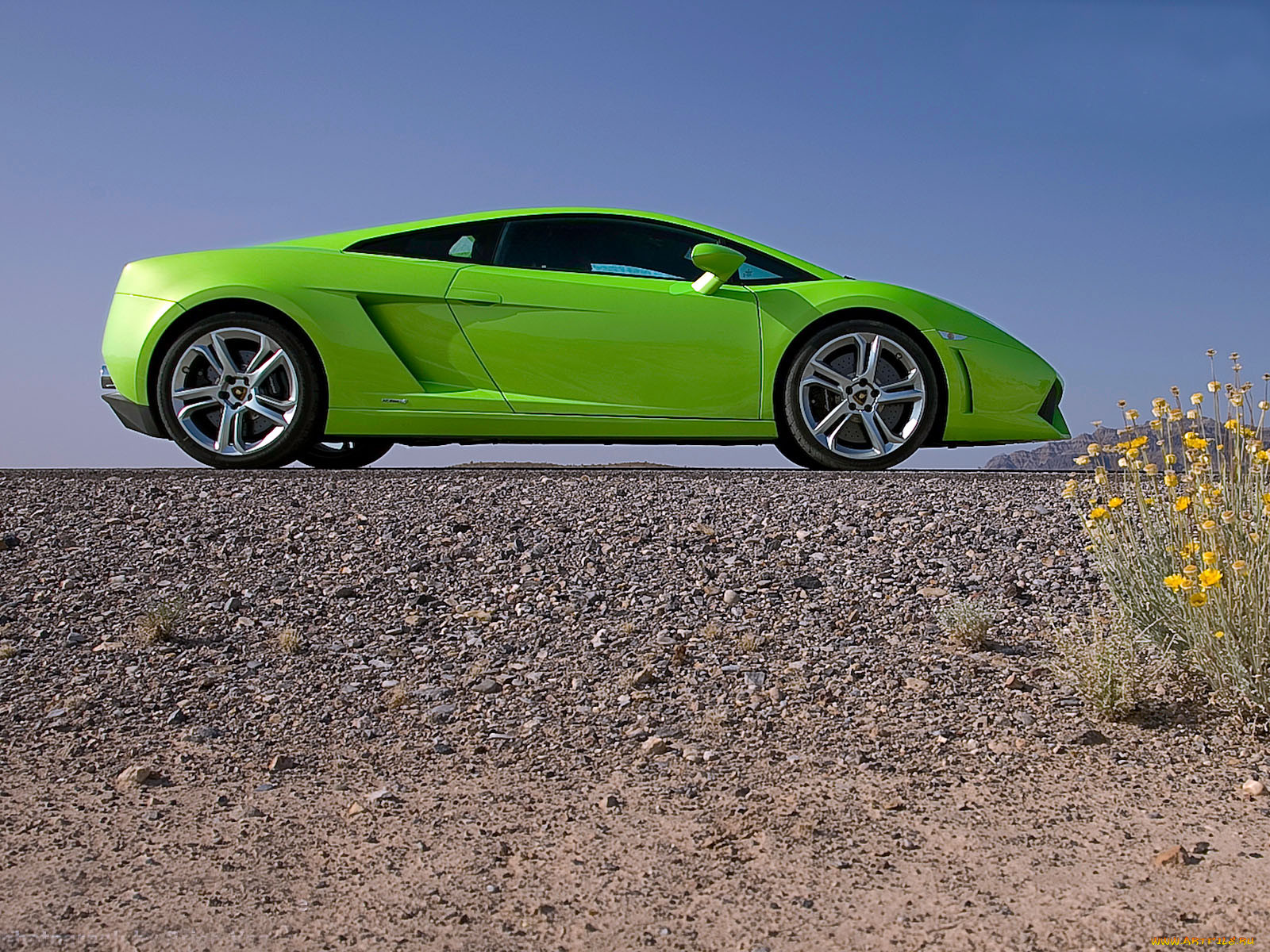 , lamborghini